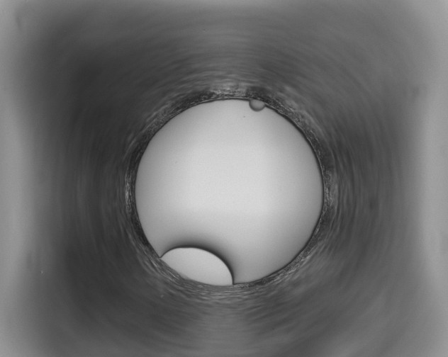 X0000114651154200910200955