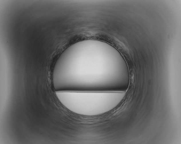 X0000114651156200910200955