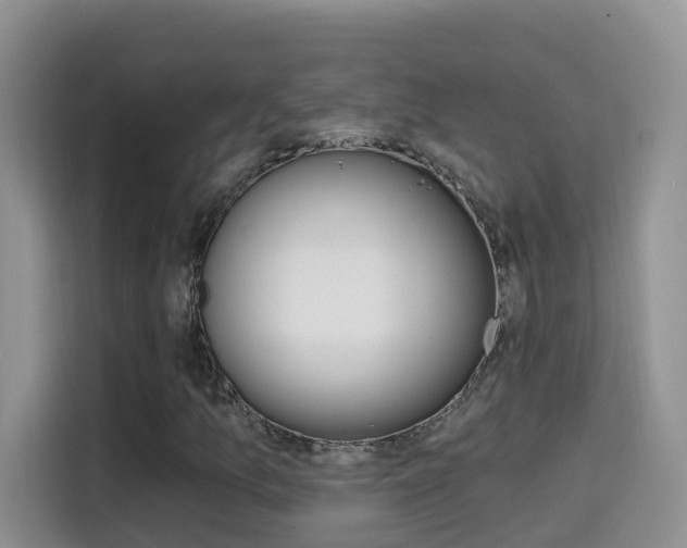 X0000114651157200910200955
