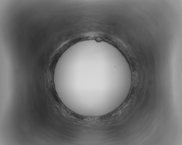 X0000114651158200910200955