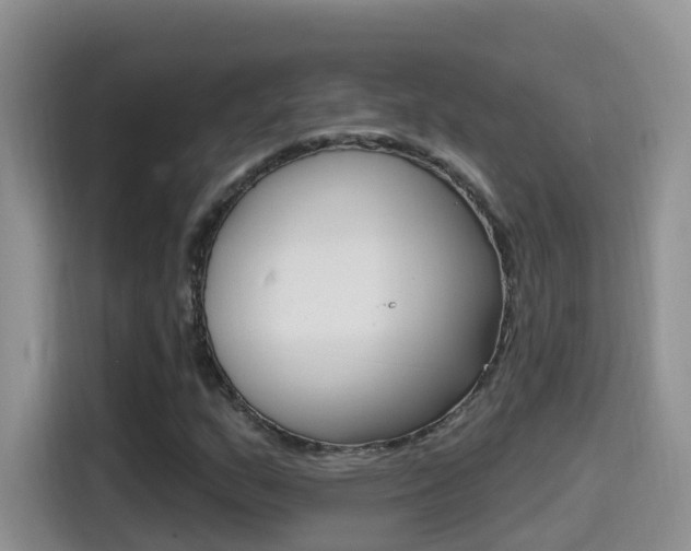 X0000114651159200910200955