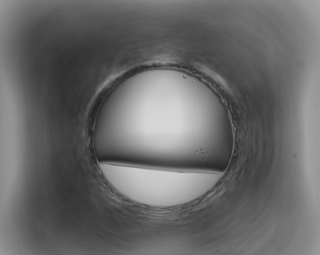 X0000114651160200910200955