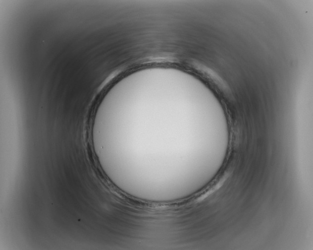 X0000114651162200910200955