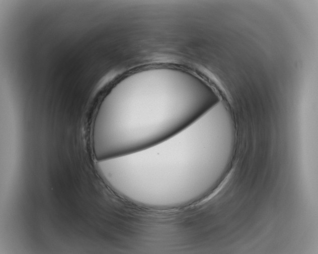 X0000114651163200910200955