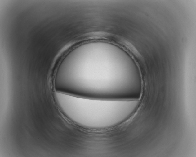 X0000114651164200910200955