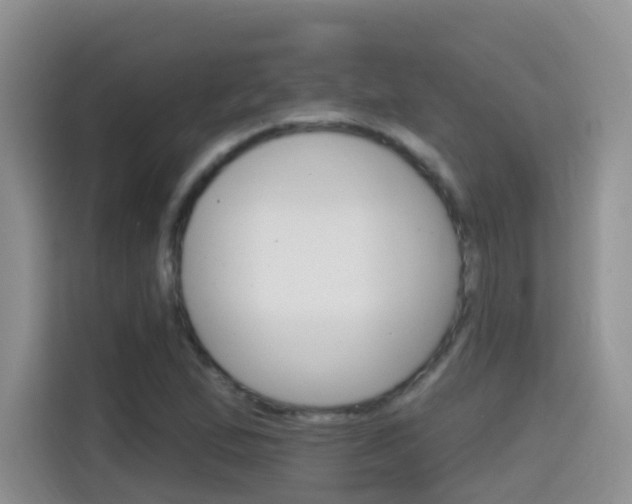 X0000114651167200910200955