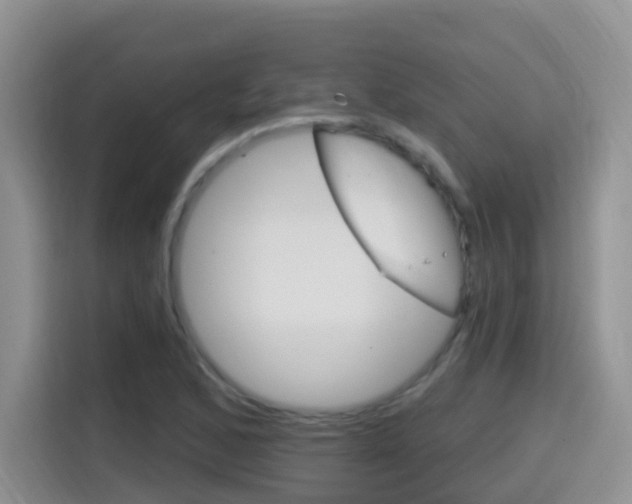 X0000114651168200910200955