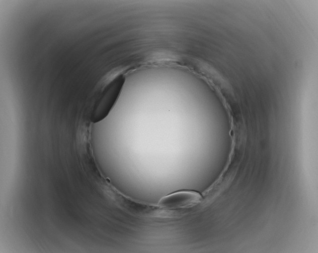 X0000114651169200910200955