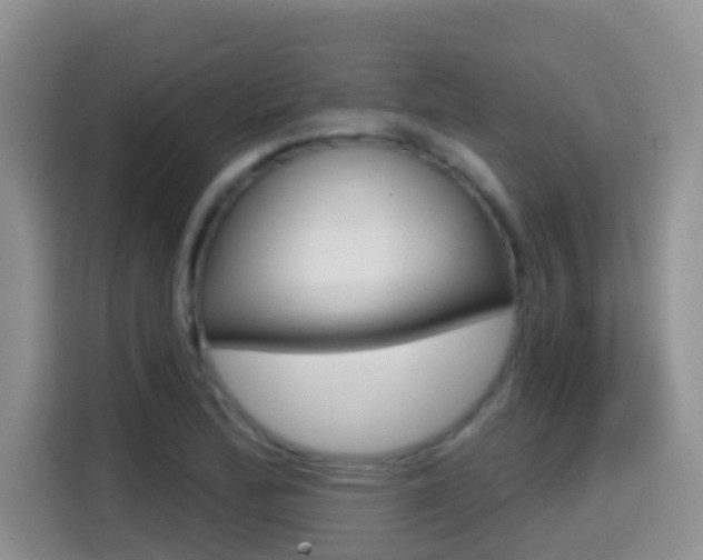 X0000114651172200910200955