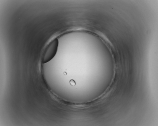 X0000114651173200910200955