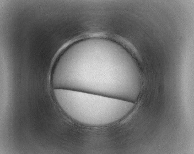 X0000114651174200910200955