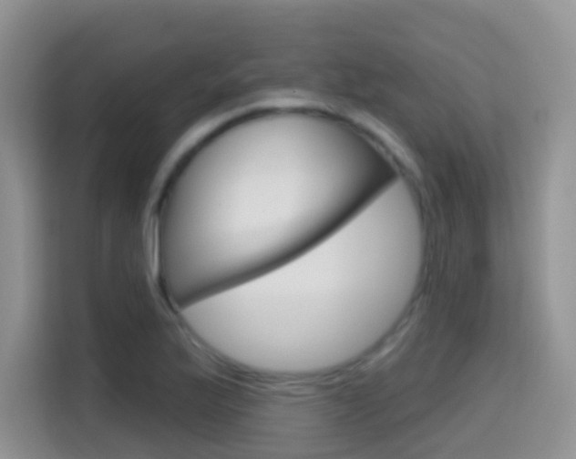 X0000114651175200910200955