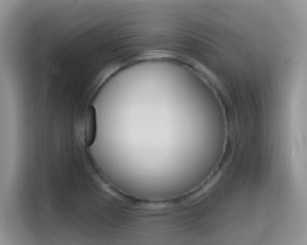 X0000114651177200910200955