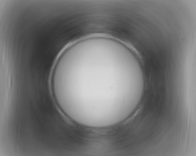 X0000114651181200910200955
