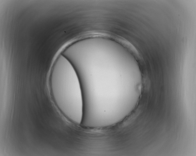 X0000114651182200910200955