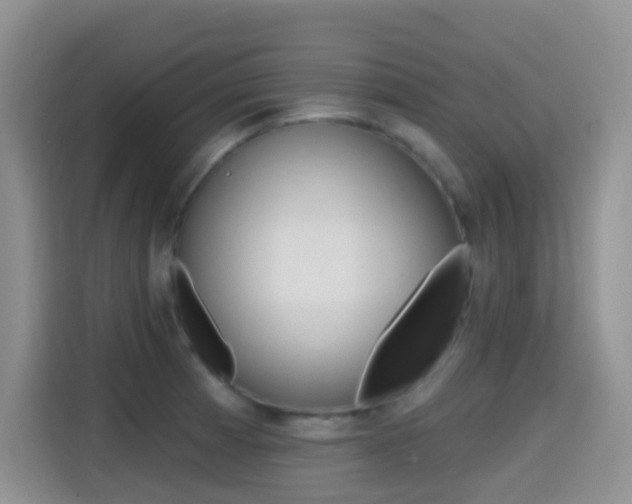 X0000114651185200910200955