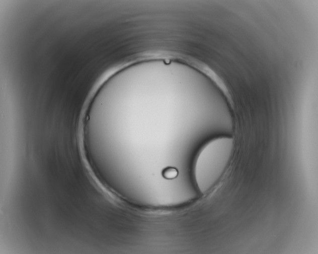 X0000114651187200910200954