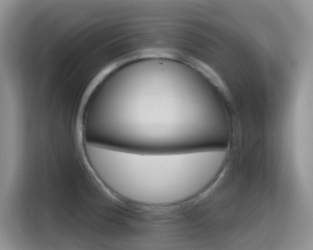 X0000114651188200910200954