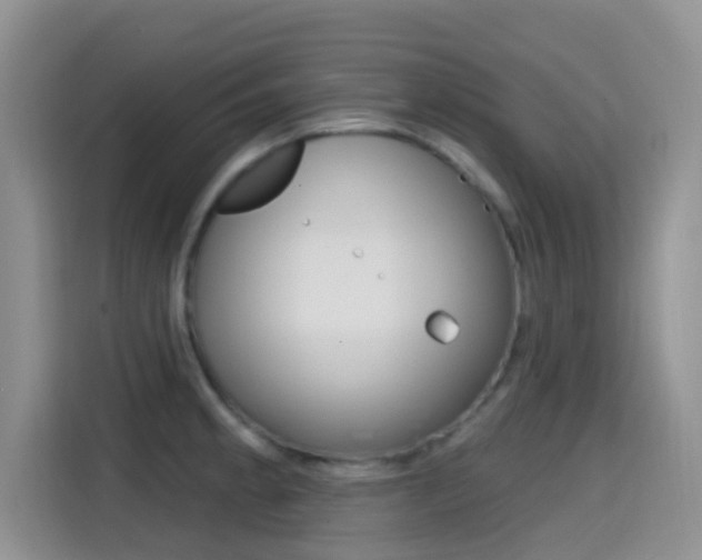 X0000114651189200910200954