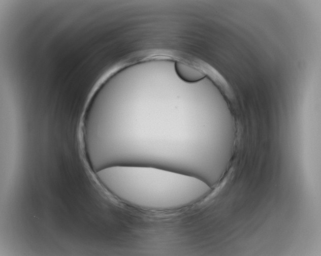 X0000114651190200910200954