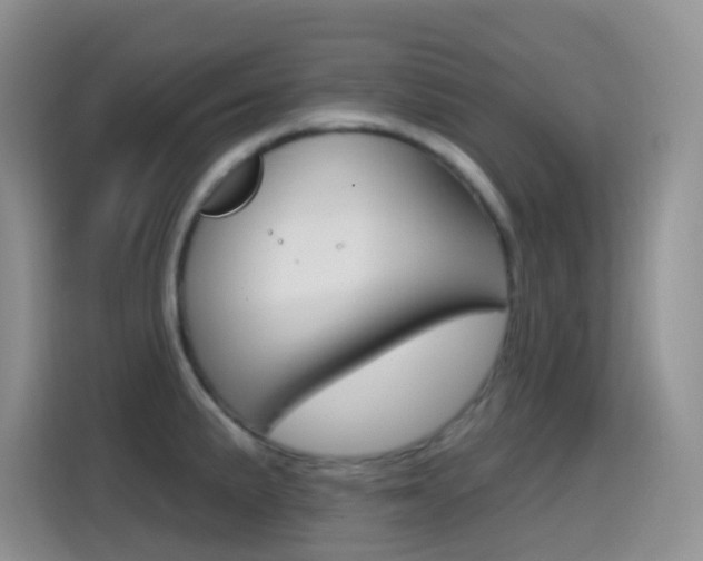 X0000114651191200910200954