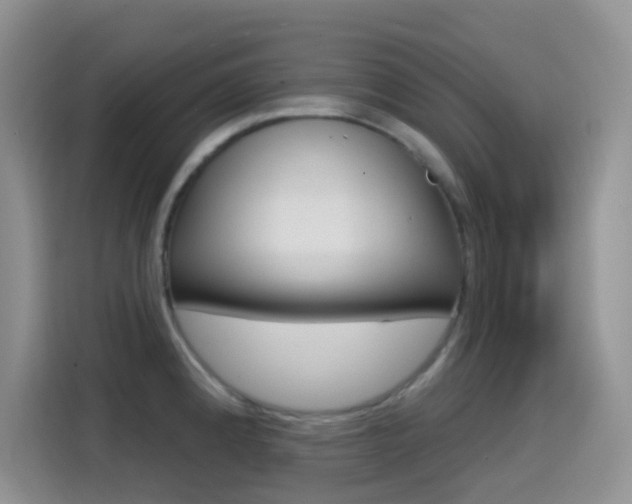 X0000114651192200910200954