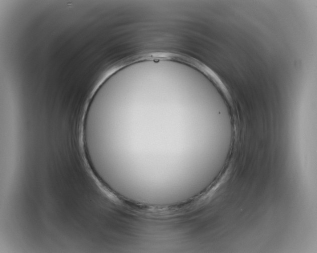 X0000114651194200910200954