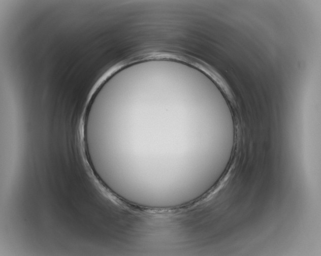 X0000114651198200910200954