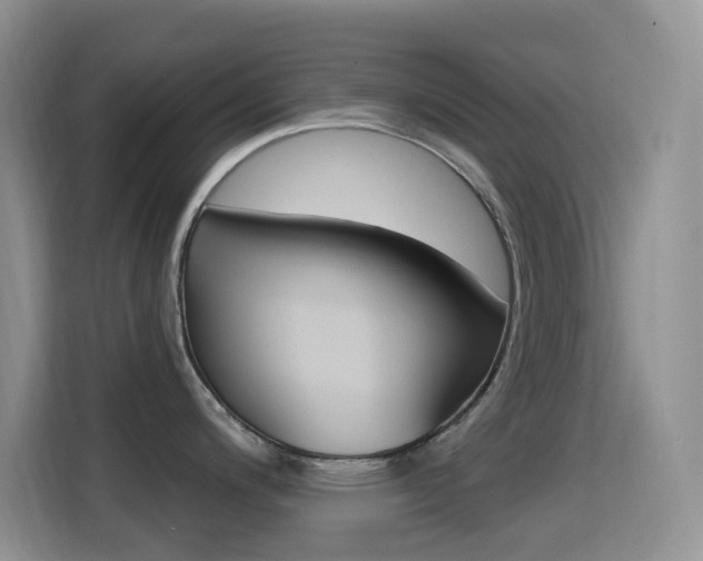 X0000114651200200910200954