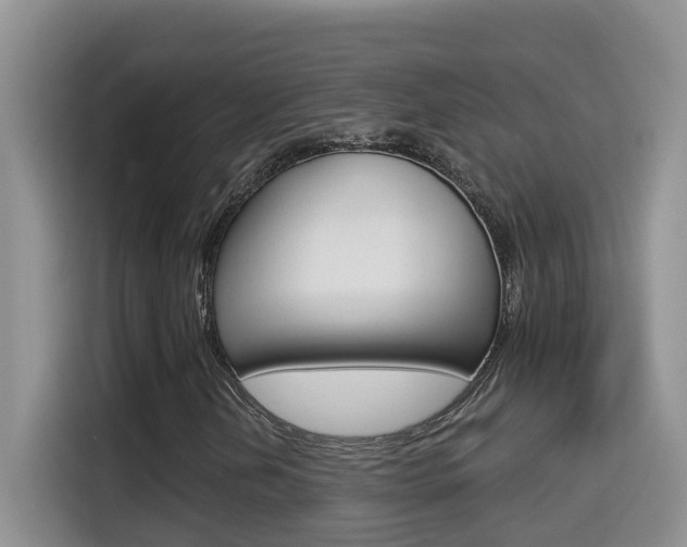 X0000114651202200910200954