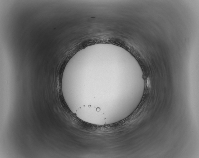 X0000114651203200910200954
