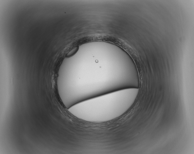 X0000114651204200910200954