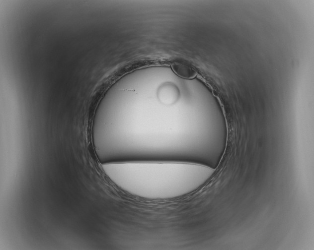 X0000114651205200910200954