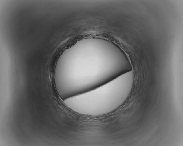 X0000114651206200910200954