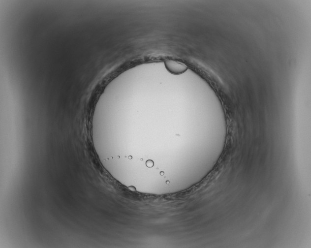X0000114651207200910200954