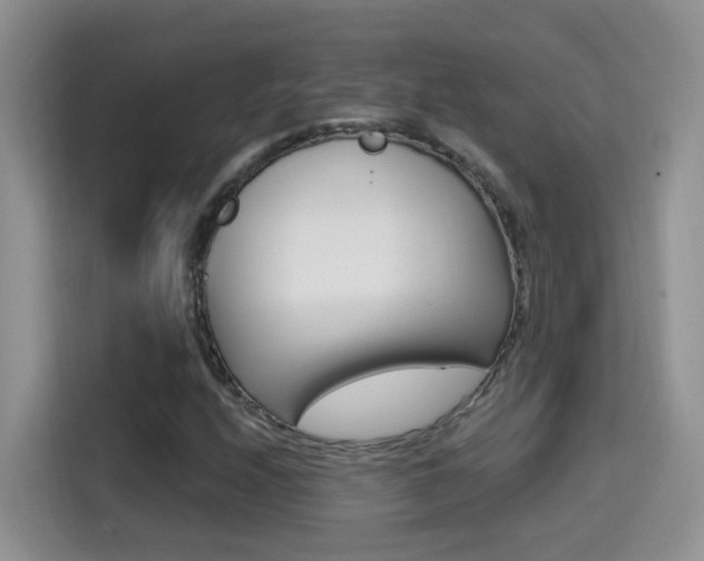 X0000114651208200910200954