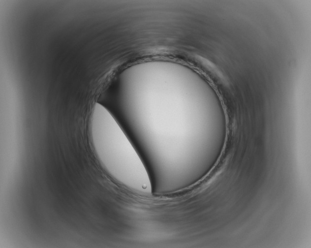 X0000114651209200910200954
