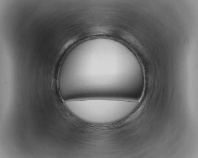 X0000114651210200910200954