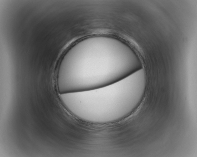 X0000114651212200910200954