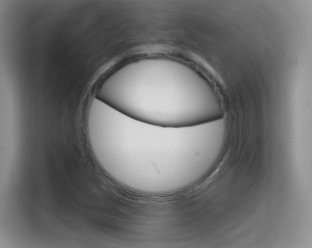 X0000114651213200910200954