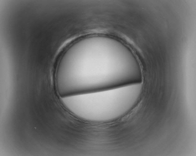 X0000114651214200910200954