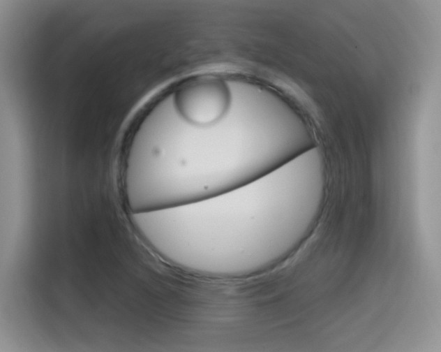 X0000114651216200910200954