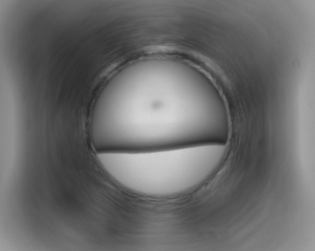 X0000114651217200910200954