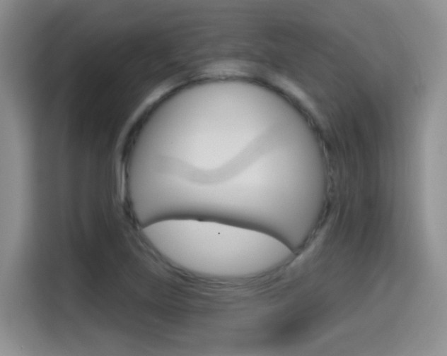 X0000114651219200910200954