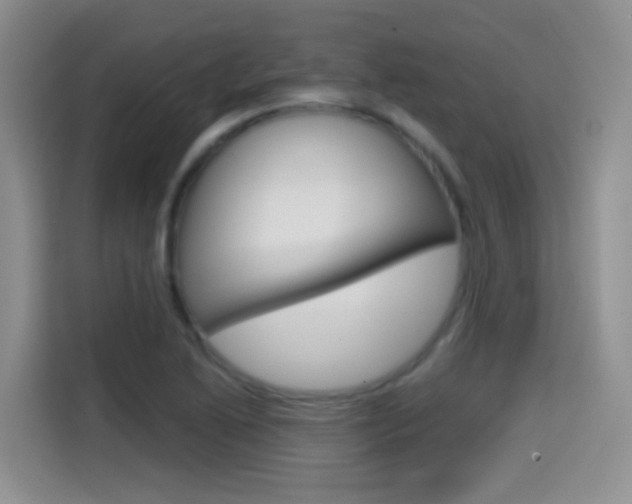 X0000114651222200910200954