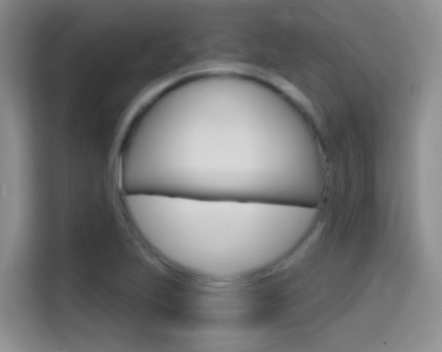 X0000114651223200910200954
