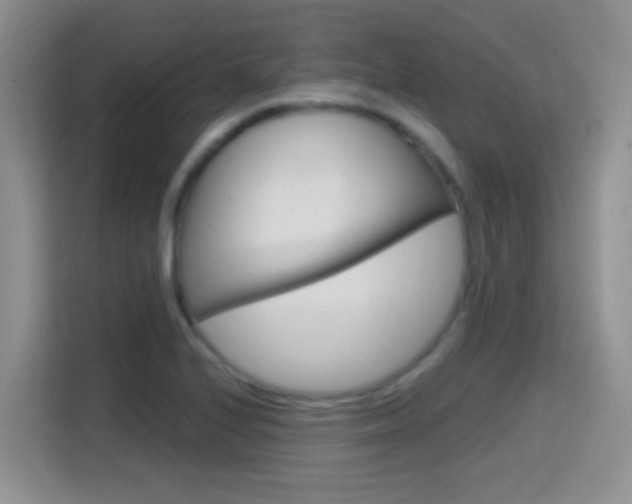 X0000114651224200910200954