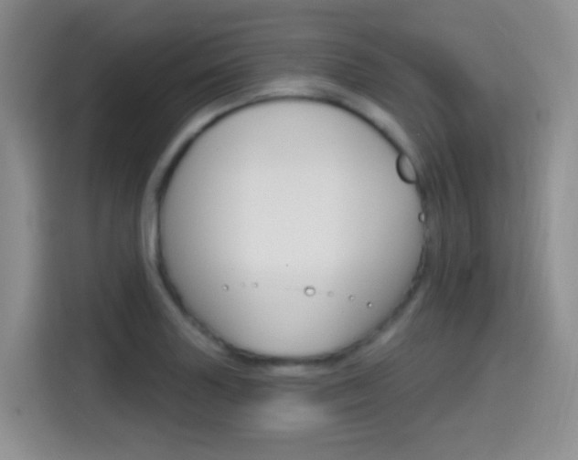 X0000114651227200910200954