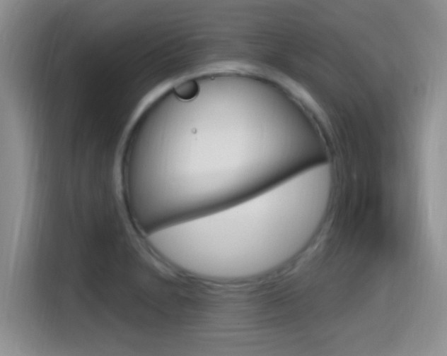 X0000114651230200910200954