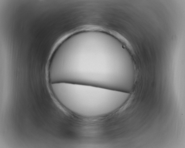 X0000114651231200910200954